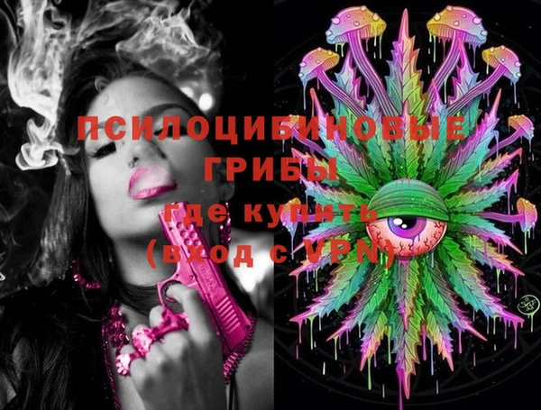 метадон Алексеевка