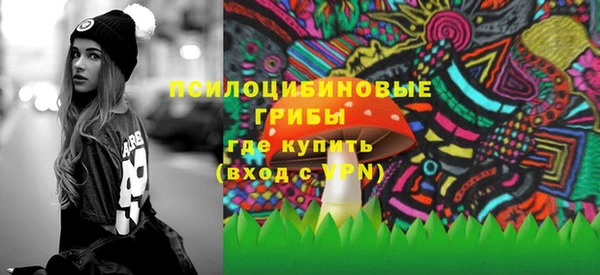 дурь Алексин