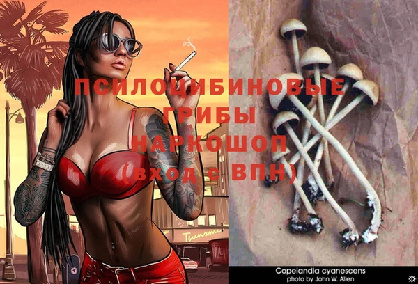 дурь Алексин
