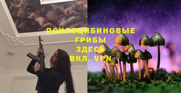 метадон Алексеевка