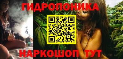 a pvp Аргун