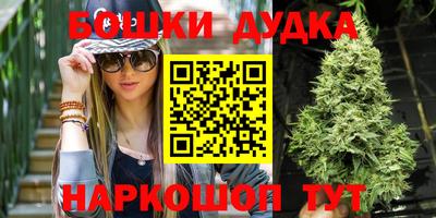 шишки Апшеронск