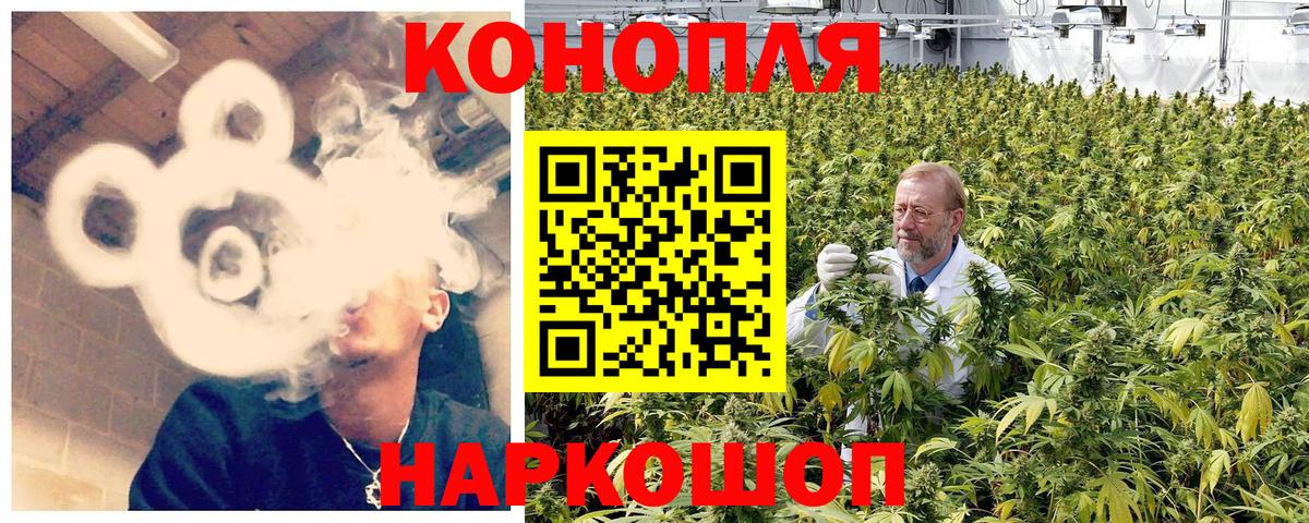 Бошки марихуана OG Kush Апрелевка